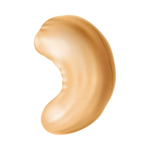 Cashew